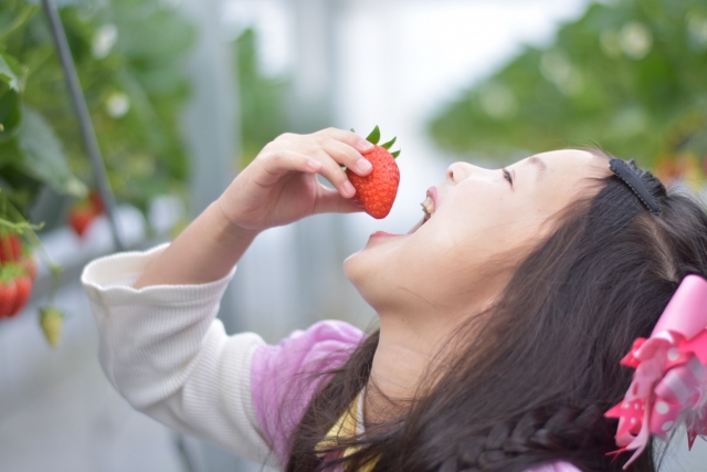 そのイチゴの洗い方ng イチゴを 最高 に美味しく食べる方法 イチゴログ